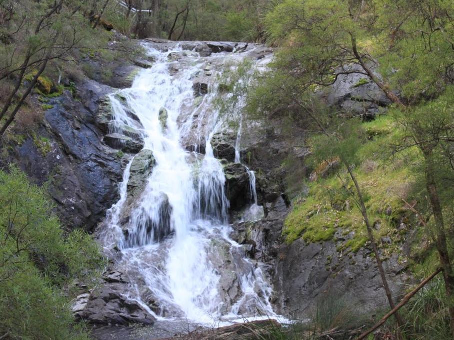 Karri Valley Chalets Pemberton Bagian luar foto