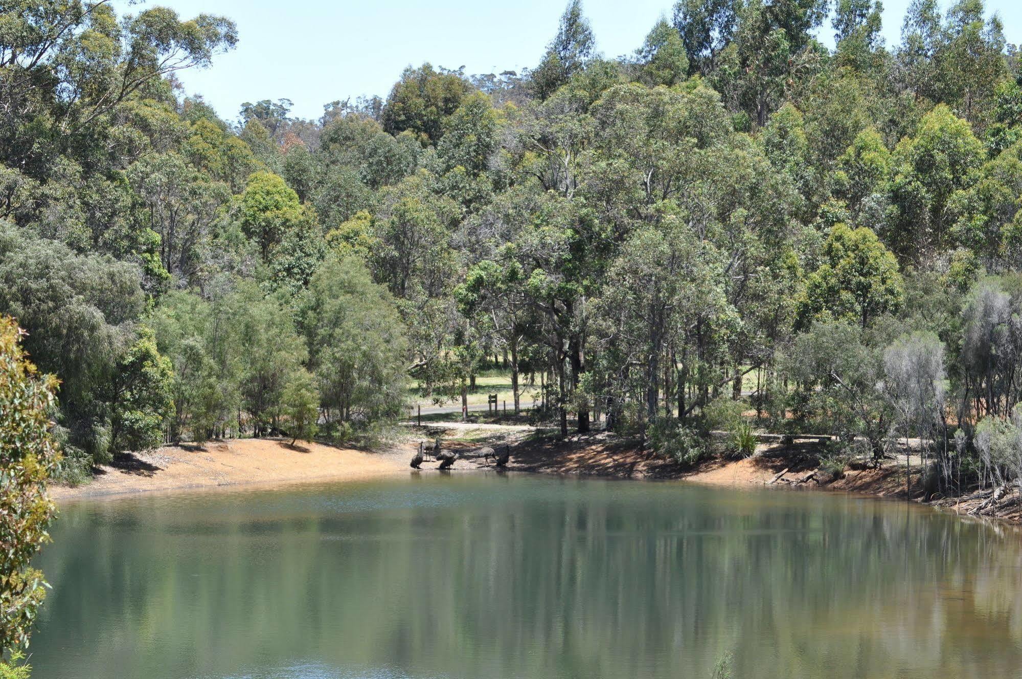 Karri Valley Chalets Pemberton Bagian luar foto